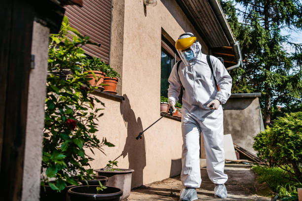 Best Mosquito Control Services  in North Oaks, MN