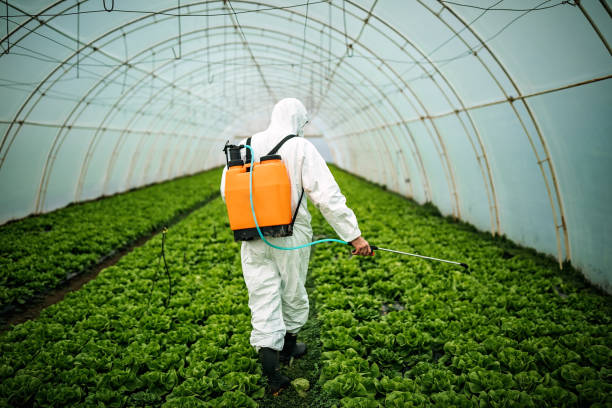 Best Pest Control Near Me  in North Oaks, MN