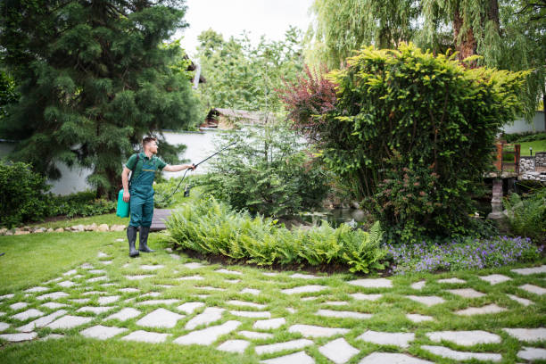 Best Rat Extermination Near Me  in North Oaks, MN