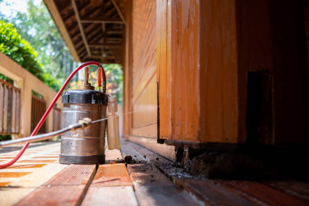 Best Termite Control Services  in North Oaks, MN