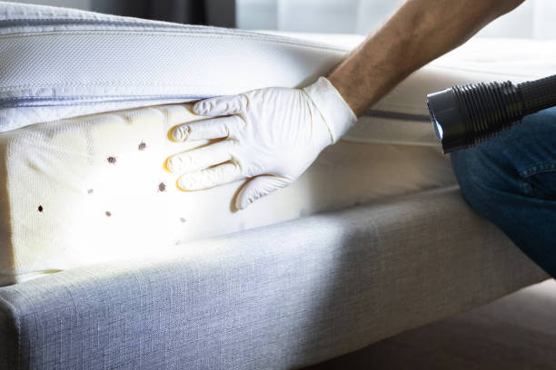 Best Pest Control for Restaurants  in North Oaks, MN