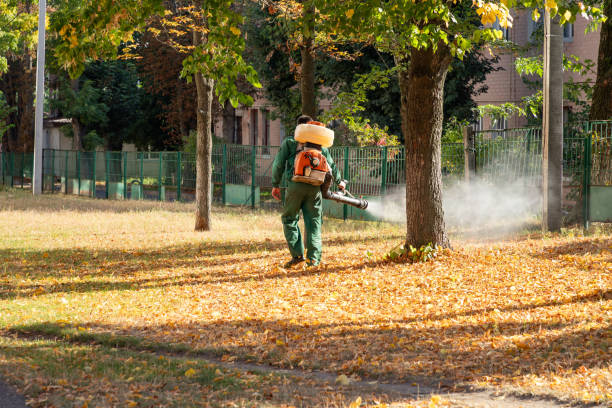 Bird Control in North Oaks, MN
