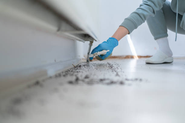 Best Pest Prevention Services  in North Oaks, MN